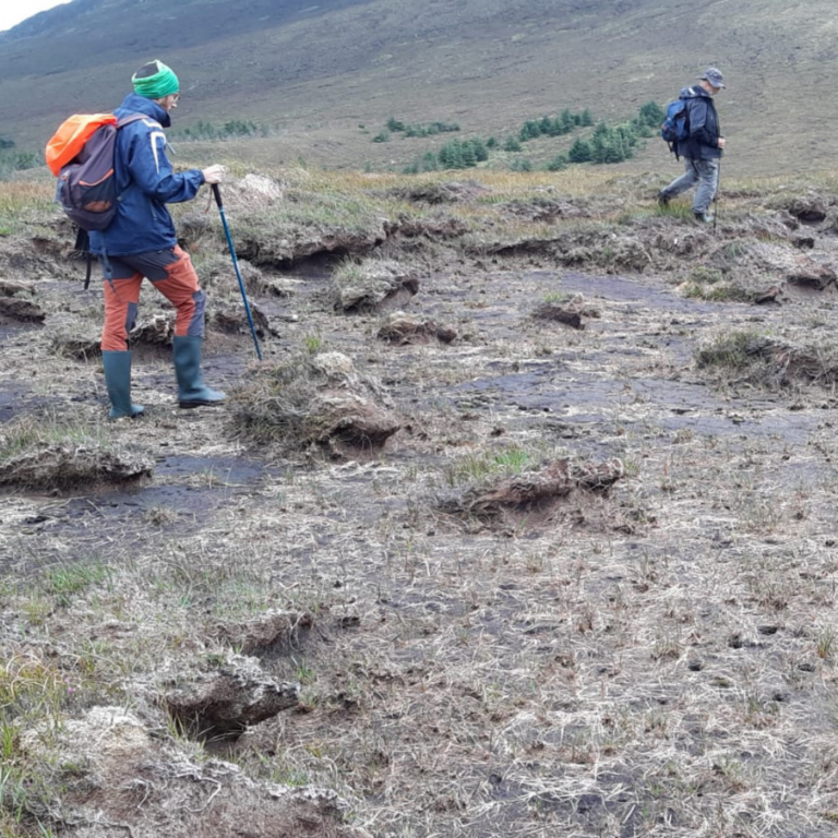 Bog Erosion