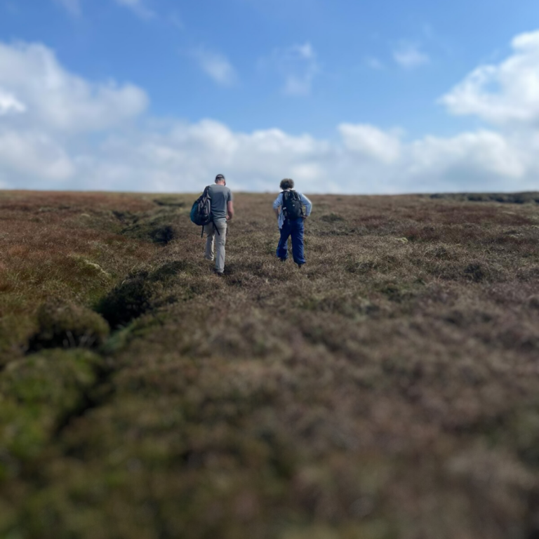 Blanket Bog