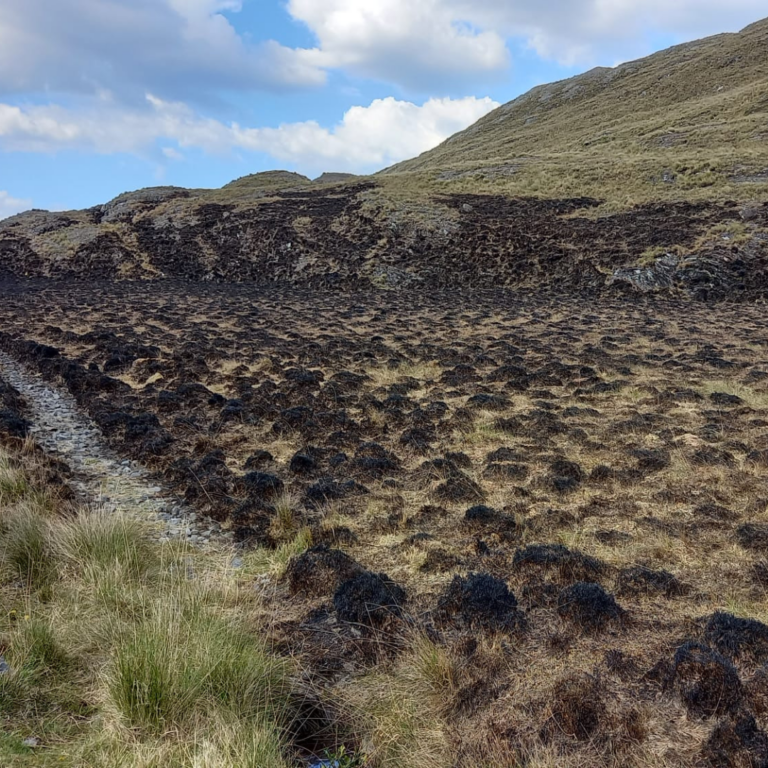 Burned Bogland