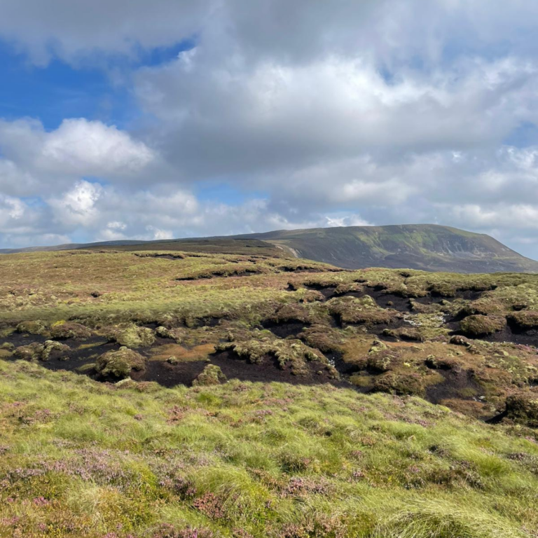 Bog Erosion