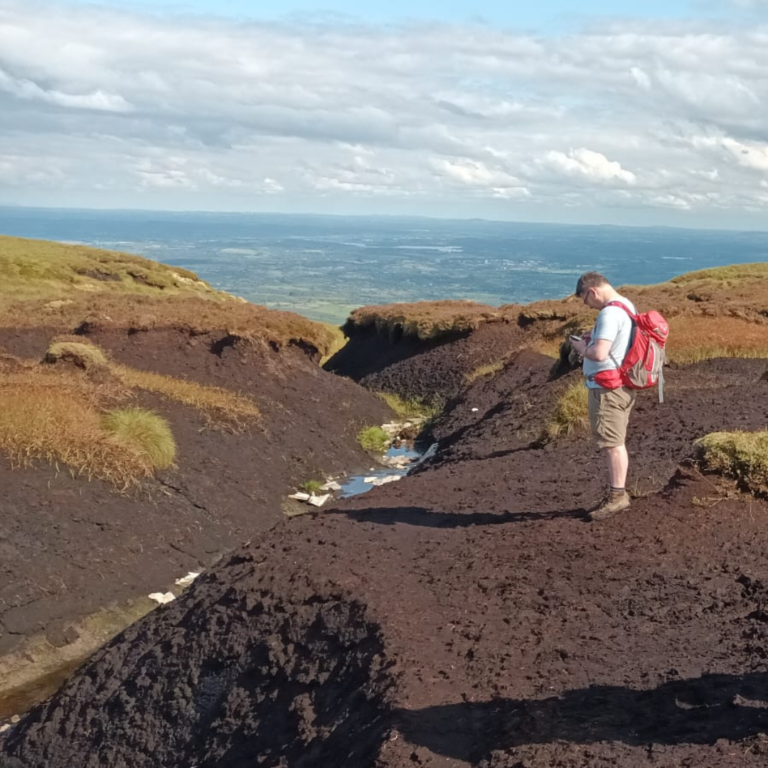 Bog Erosion