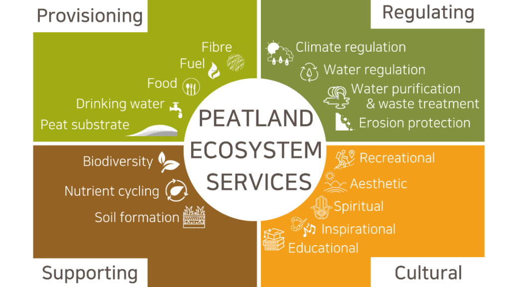 Peatland Ecosystem Services